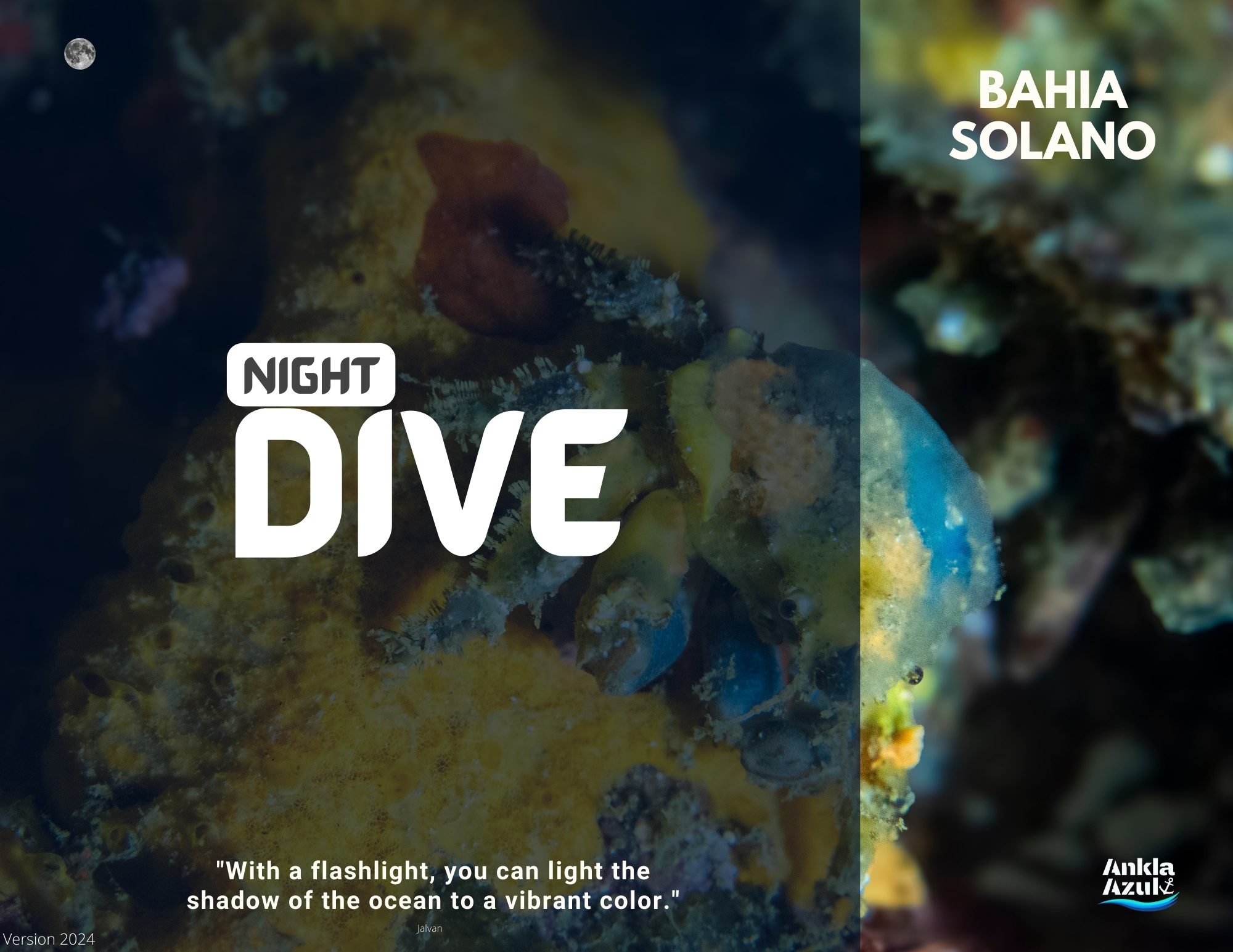 Night Dive 